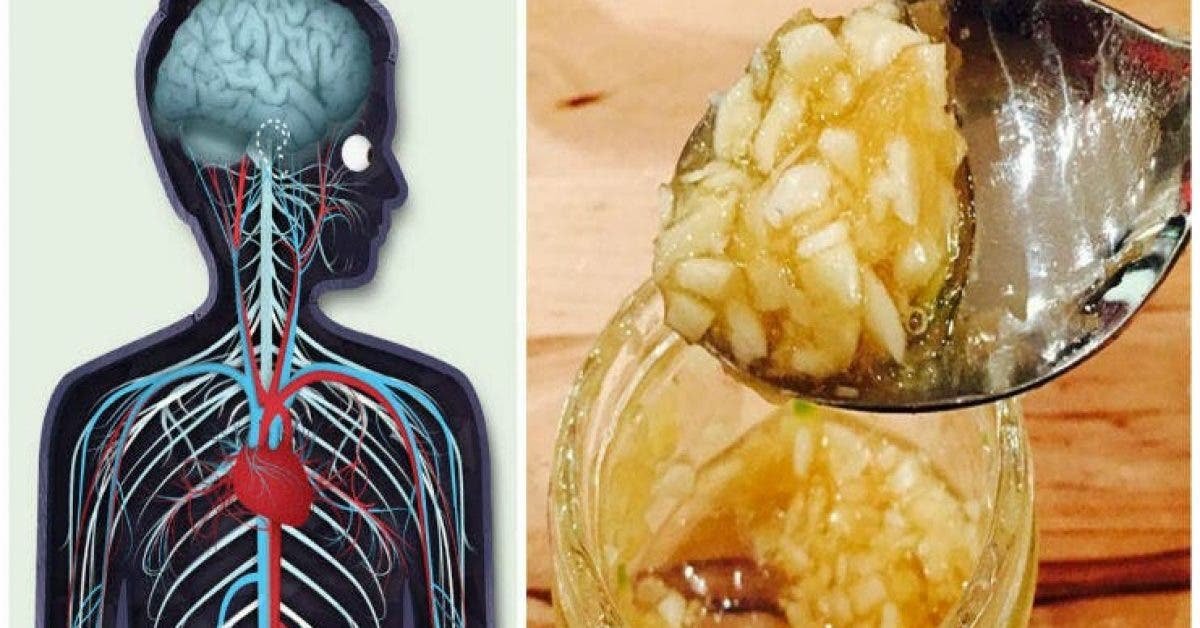 Assumete aglio e miele a stomaco vuoto. Dopo una settimana il vostro corpo sara cambiato